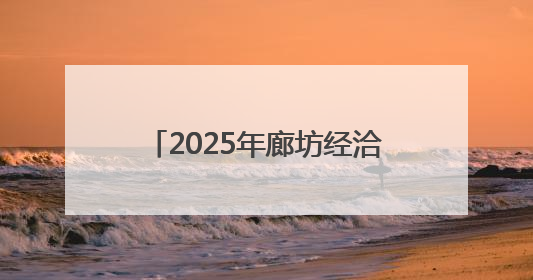 2025年廊坊经洽会·现场丨国际招商“磁力”足 外商争相向河北推介项目