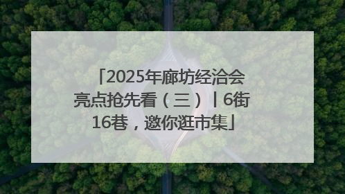2025年廊坊经洽会亮点抢先看（三）丨6街16巷，邀你逛市集