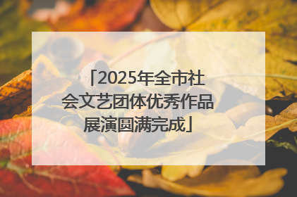 2025年全市社会文艺团体优秀作品展演圆满完成