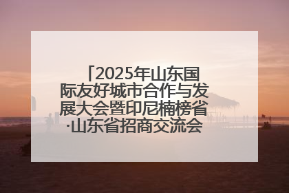 2025年山东国际友好城市合作与发展大会暨印尼楠榜省·山东省招商交流会在济南槐荫举行