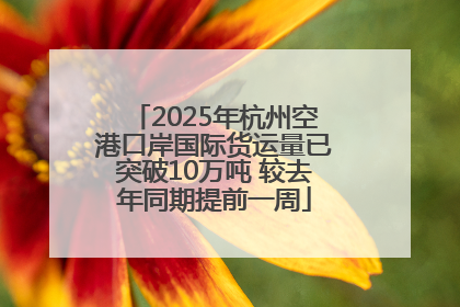 2025年杭州空港口岸国际货运量已突破10万吨 较去年同期提前一周