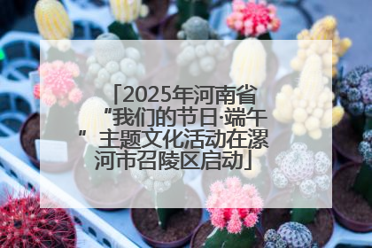 2025年河南省“我们的节日·端午”主题文化活动在漯河市召陵区启动