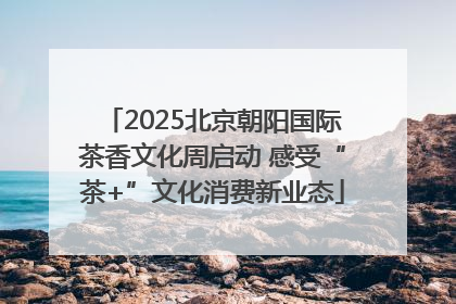2025北京朝阳国际茶香文化周启动 感受“茶+”文化消费新业态