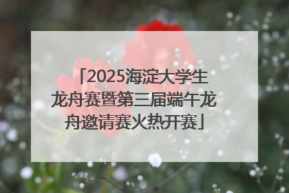 2025海淀大学生龙舟赛暨第三届端午龙舟邀请赛火热开赛