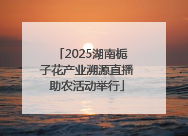 2025湖南栀子花产业溯源直播助农活动举行