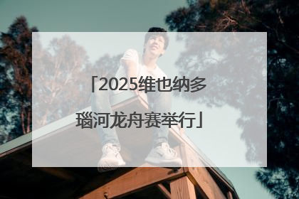 2025维也纳多瑙河龙舟赛举行