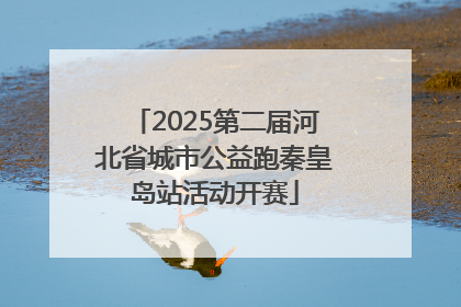 2025第二届河北省城市公益跑秦皇岛站活动开赛