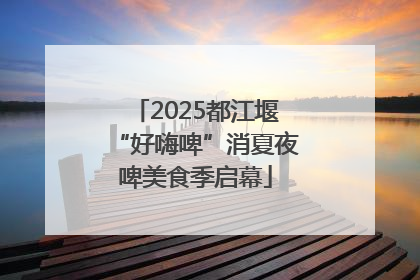 2025都江堰“好嗨啤”消夏夜啤美食季启幕
