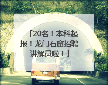 20名！本科起报！龙门石窟招聘讲解员啦！