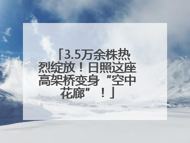 3.5万余株热烈绽放！日照这座高架桥变身“空中花廊”！