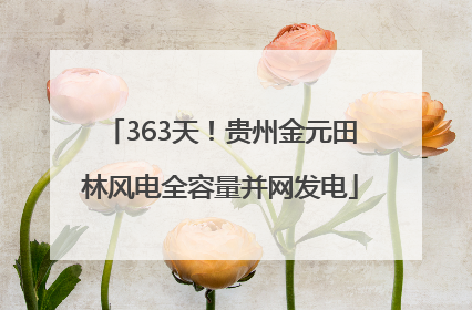 363天！贵州金元田林风电全容量并网发电