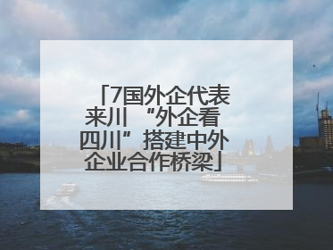 7国外企代表来川 “外企看四川”搭建中外企业合作桥梁