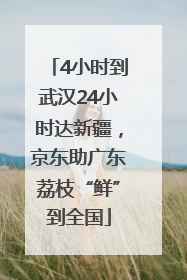 4小时到武汉24小时达新疆，京东助广东荔枝“鲜”到全国