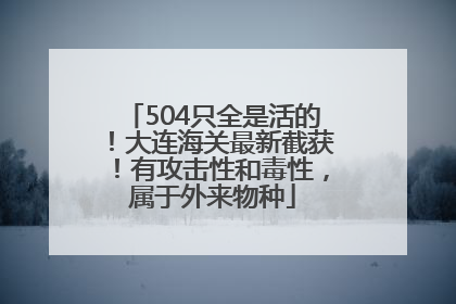 504只全是活的！大连海关最新截获！有攻击性和毒性，属于外来物种