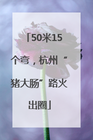 50米15个弯，杭州“猪大肠”路火出圈