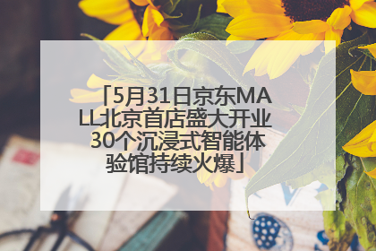 5月31日京东MALL北京首店盛大开业 30个沉浸式智能体验馆持续火爆