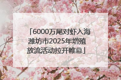 6000万尾对虾入海 潍坊市2025年增殖放流活动拉开帷幕