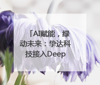 AI赋能，绿动未来：挚达科技接入DeepSeek全球化布局的新篇章