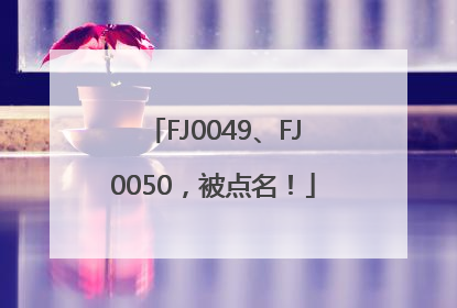 FJ0049、FJ0050，被点名！
